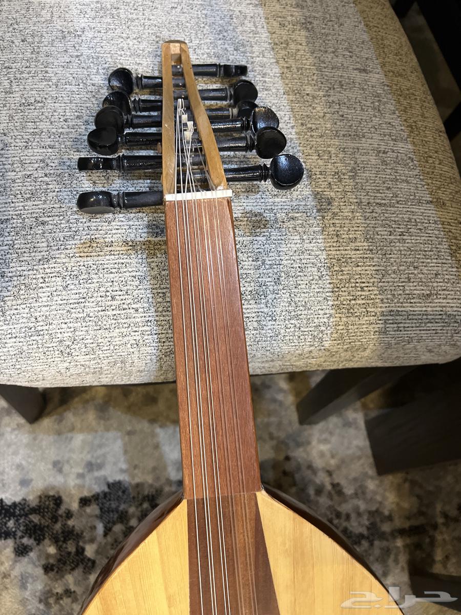 عود نصف لوكس للبيع64430643616001112