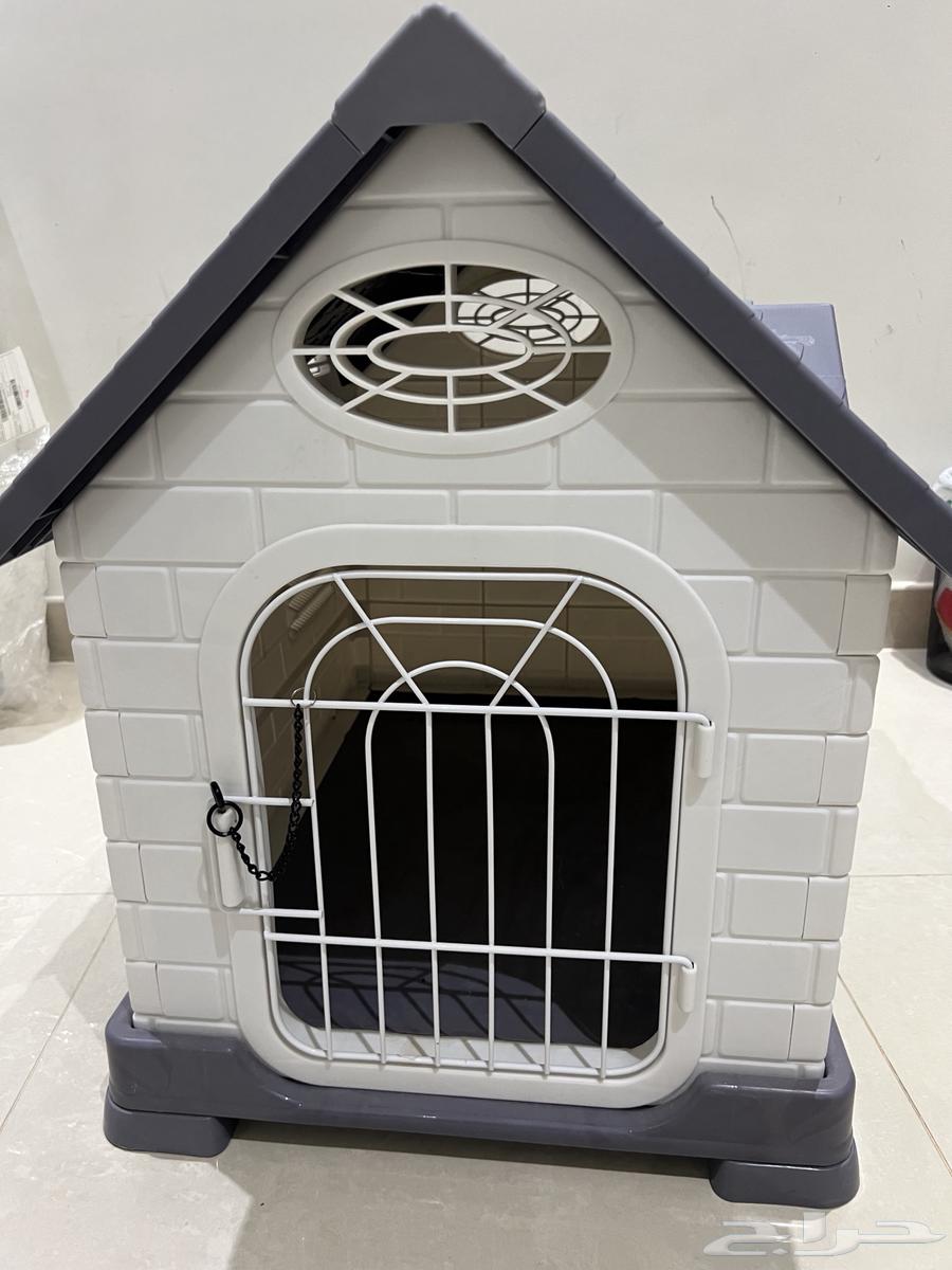 بيت كلب بومرينيان للبيع جديد64426335430017110