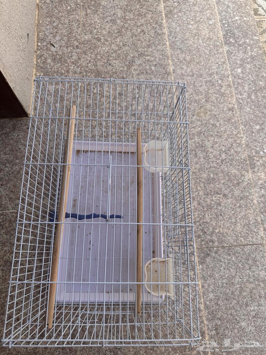 قفص طيور64429600250241111