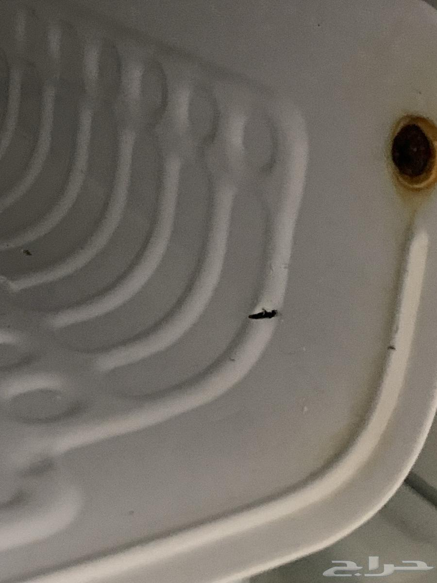 ثلاجه صغيرة للبيع64431910298627110