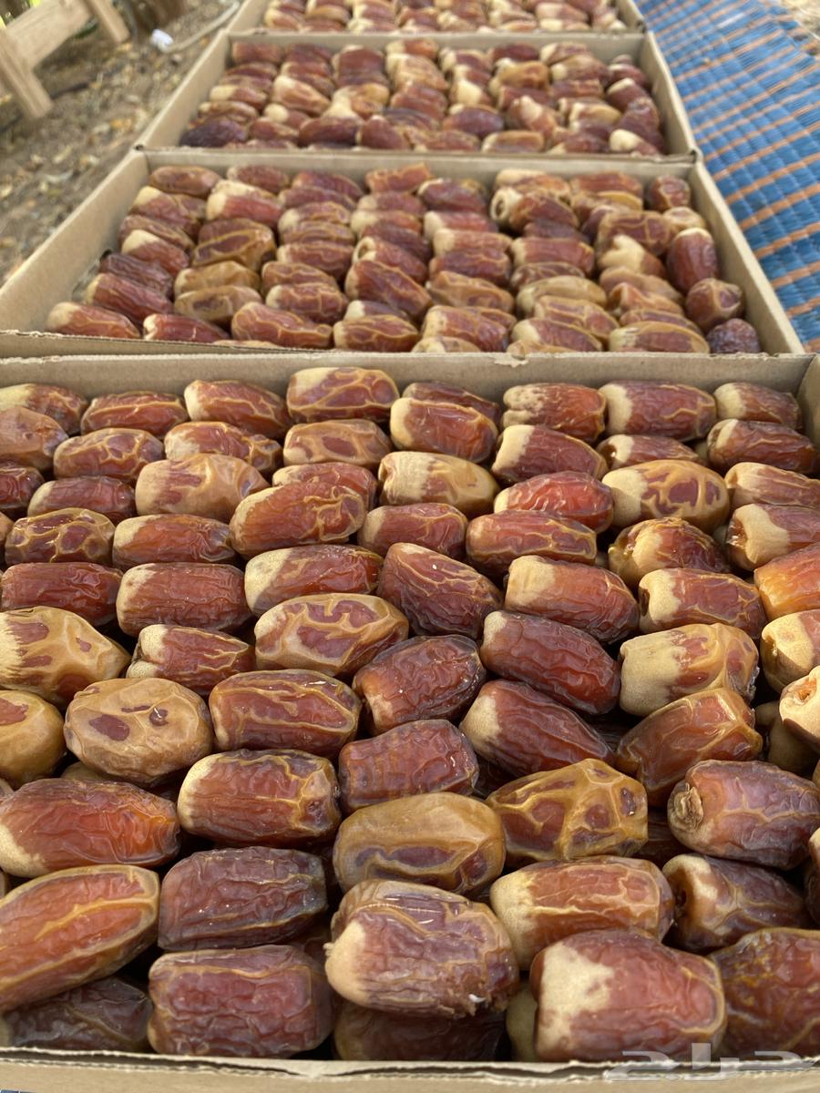 Second-grade Safawi dates64427731148931111