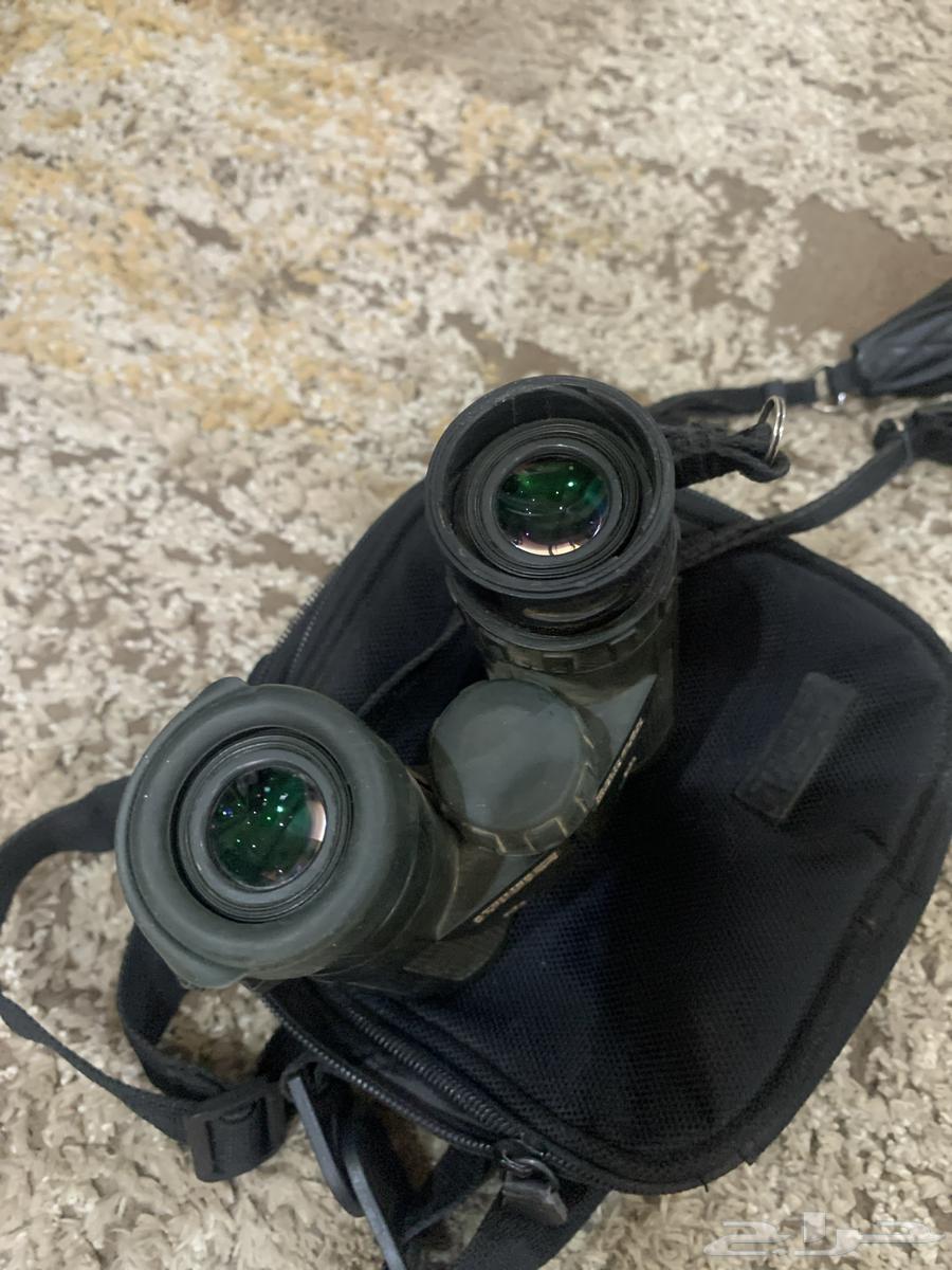 دربيل شتاينر الماني64428174353282112