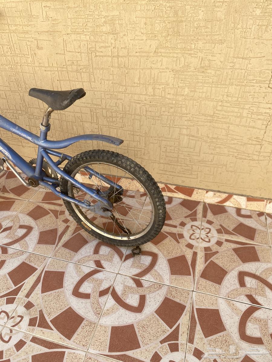 سيكل كوبرا64427865475331112