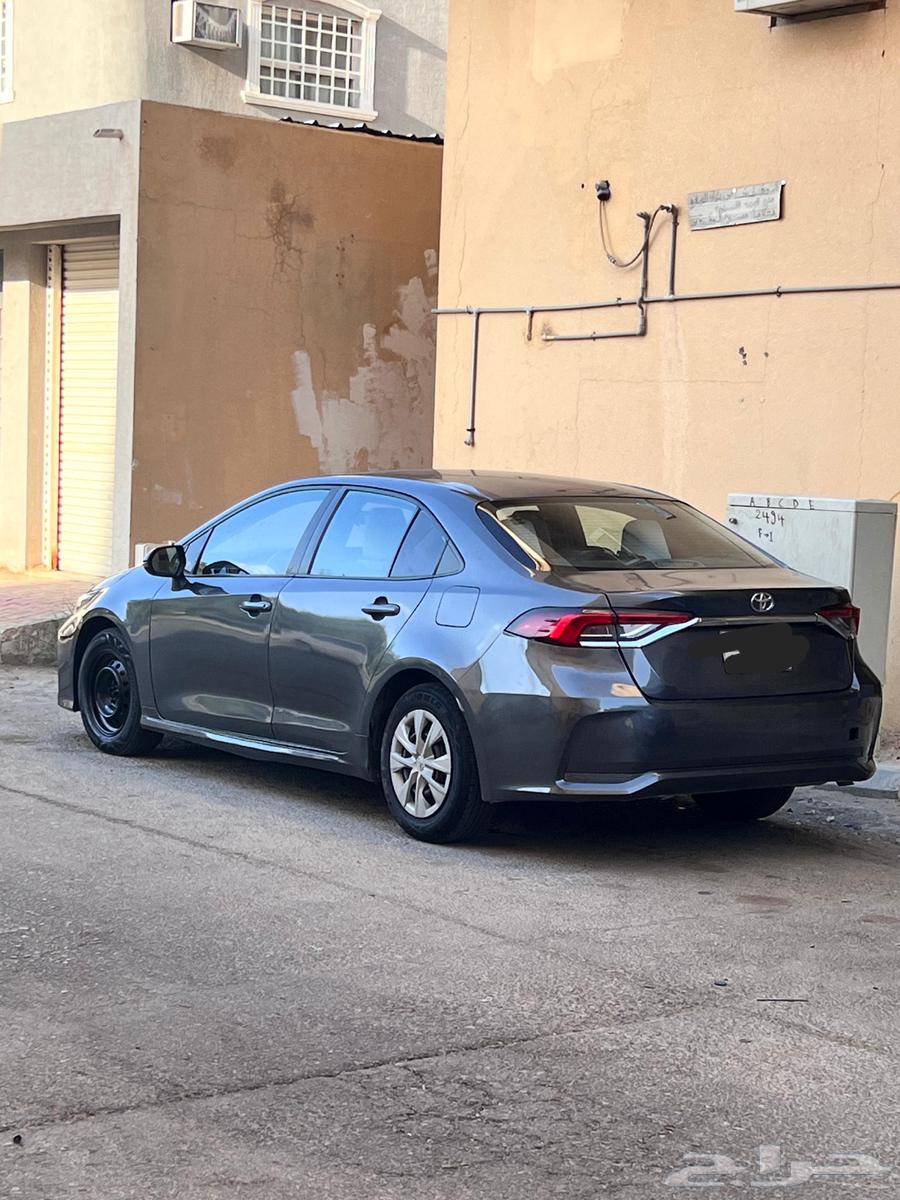 كورلا (corolla) 202064590359502593110