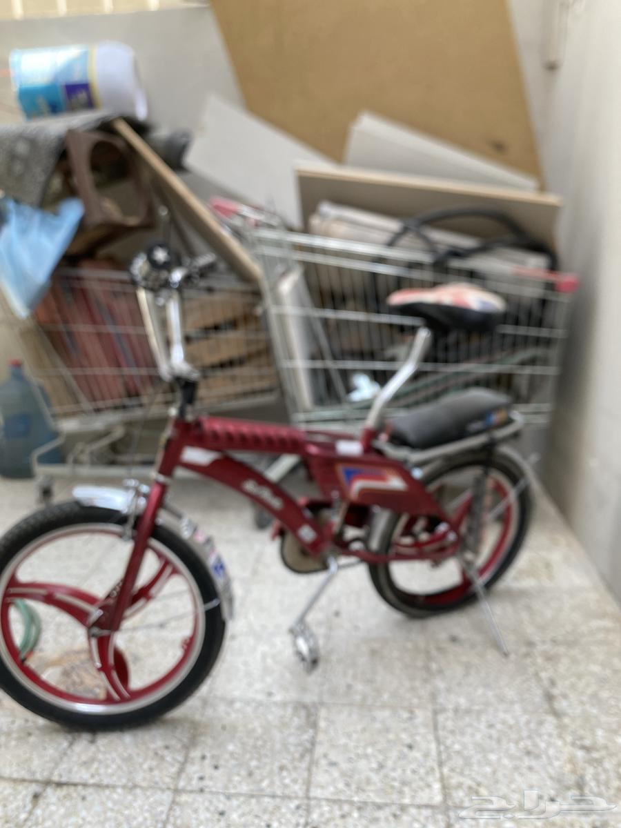 سيكل رامبو عنابي يوم يبدا  من 40064428887150849111