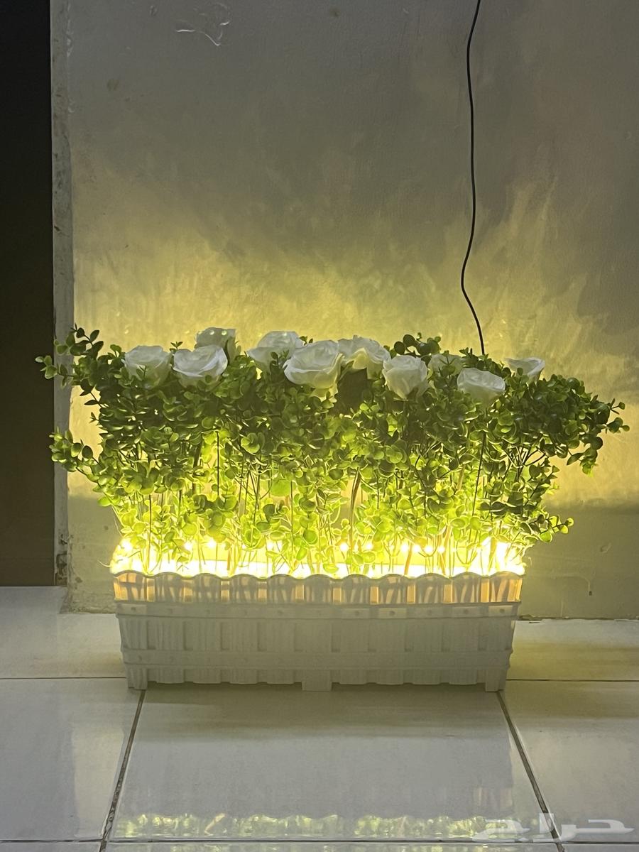 احواض ورد و اشجار صناعيه64426752066819111