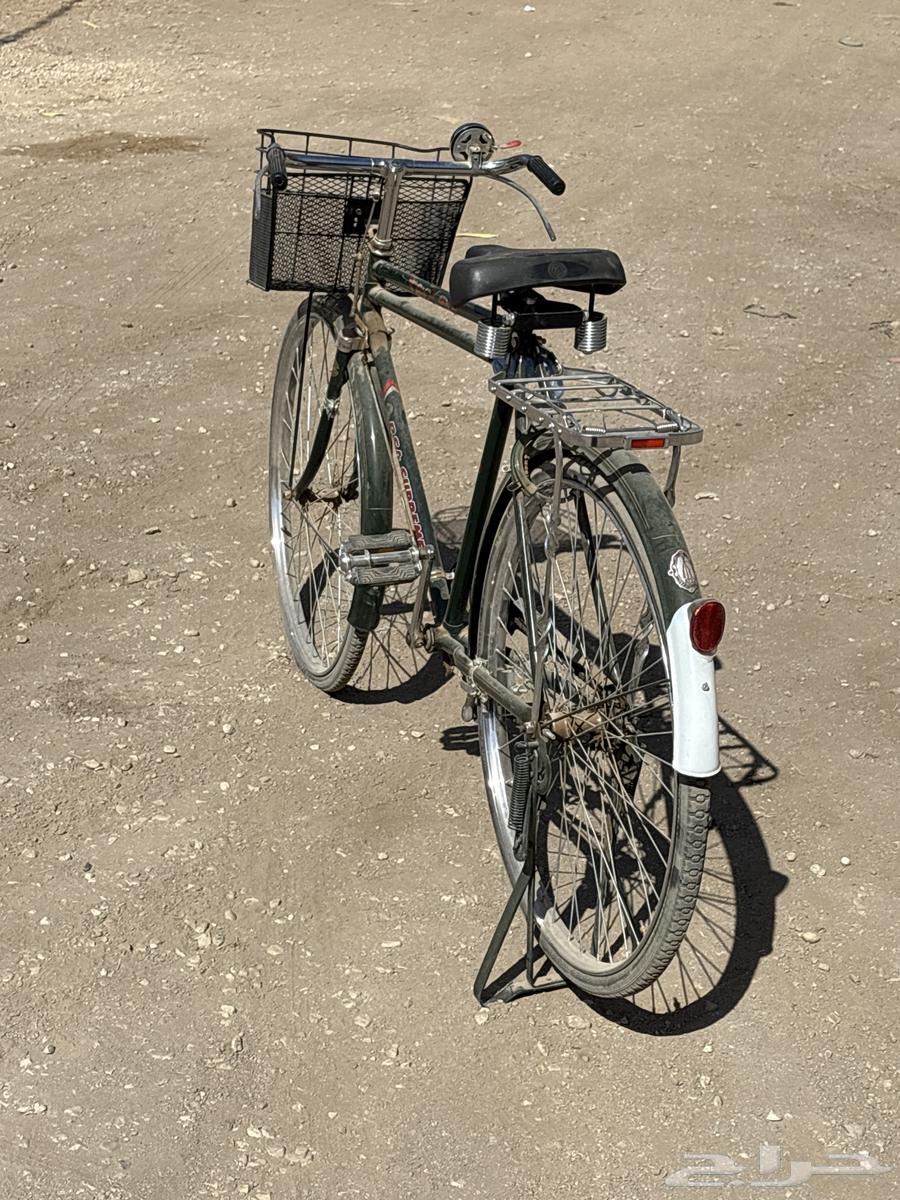 اعرضلكم سيكل للبيع64427623417986112