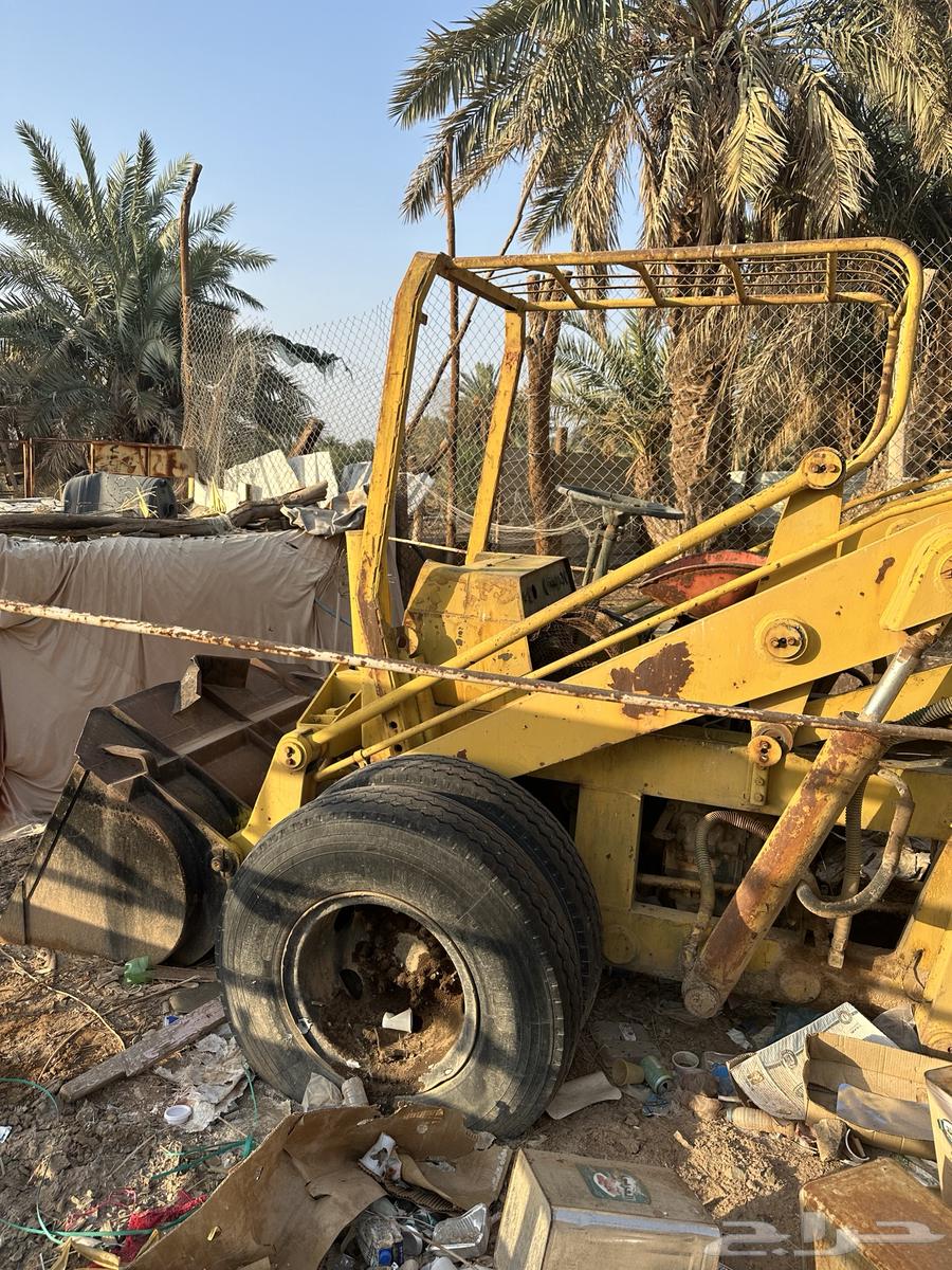 معده للبيع64588248483971110