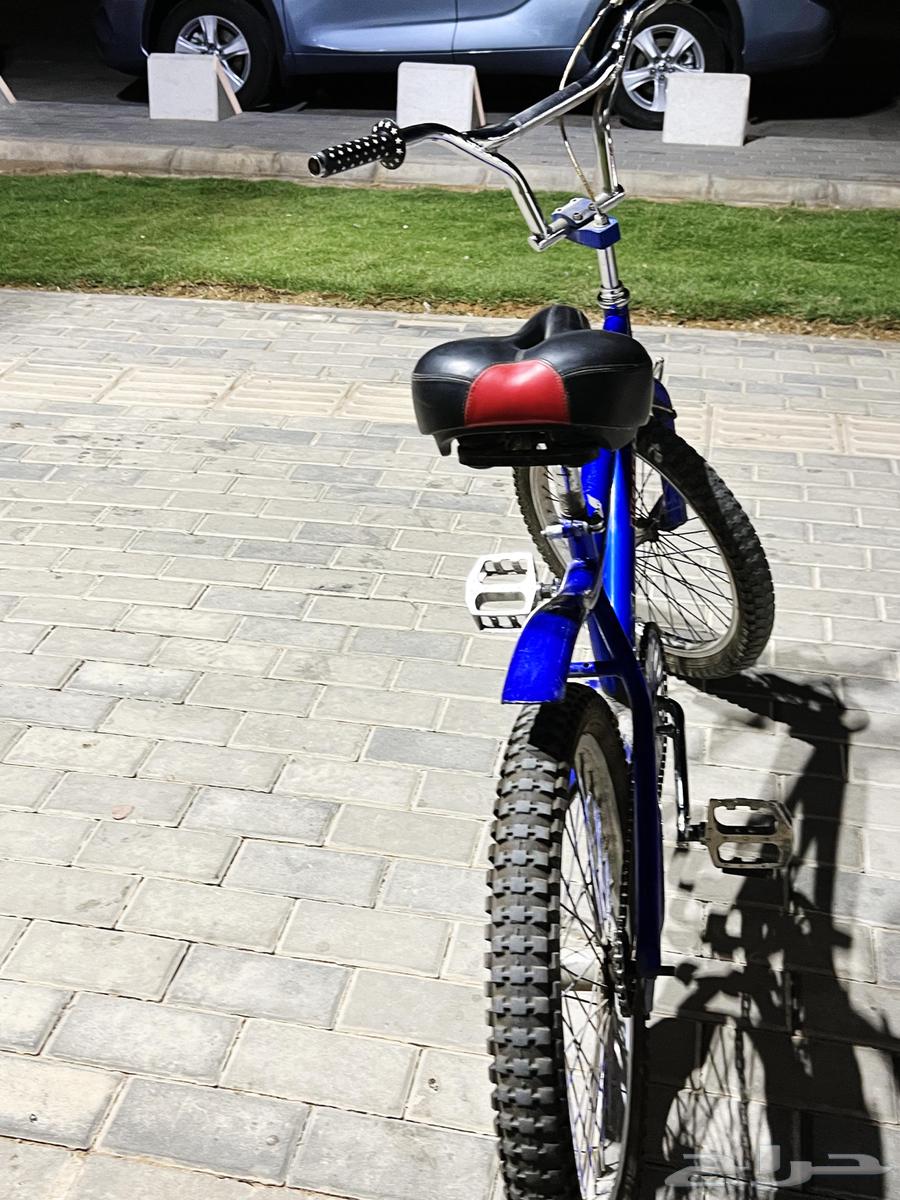 دراجه كوبرا مستخدم جديد64428160654338112