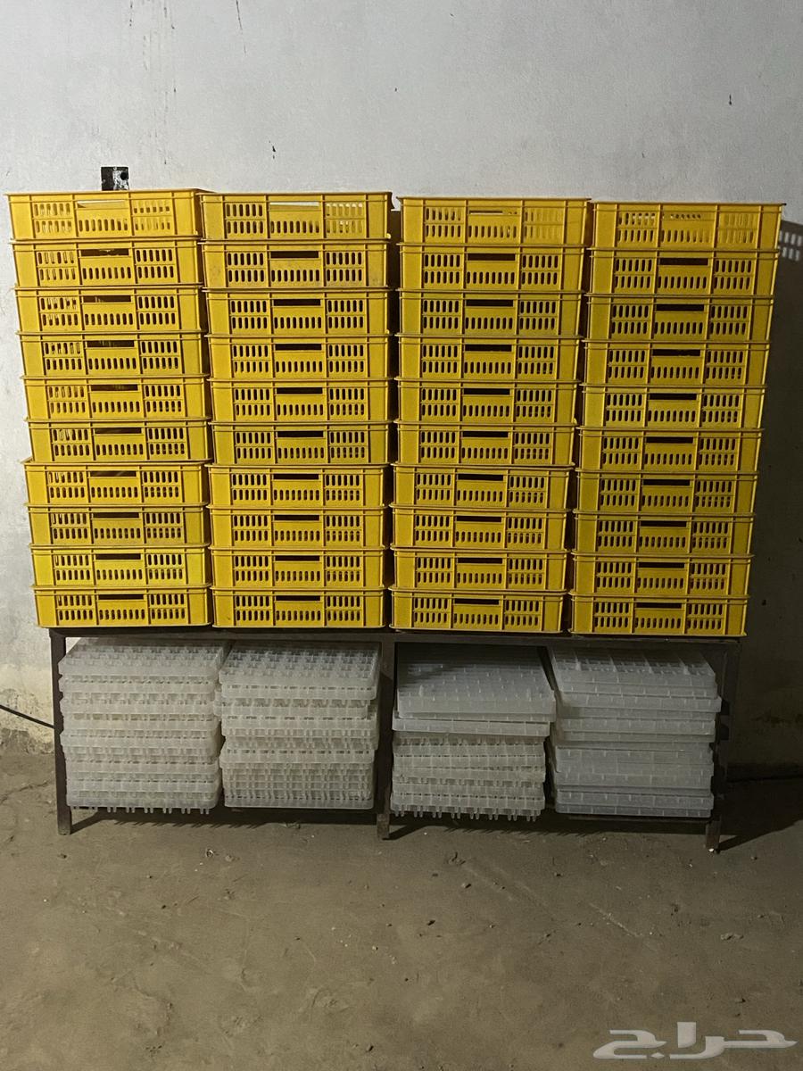 Automatic incubator 3500 eggs64433337063683113