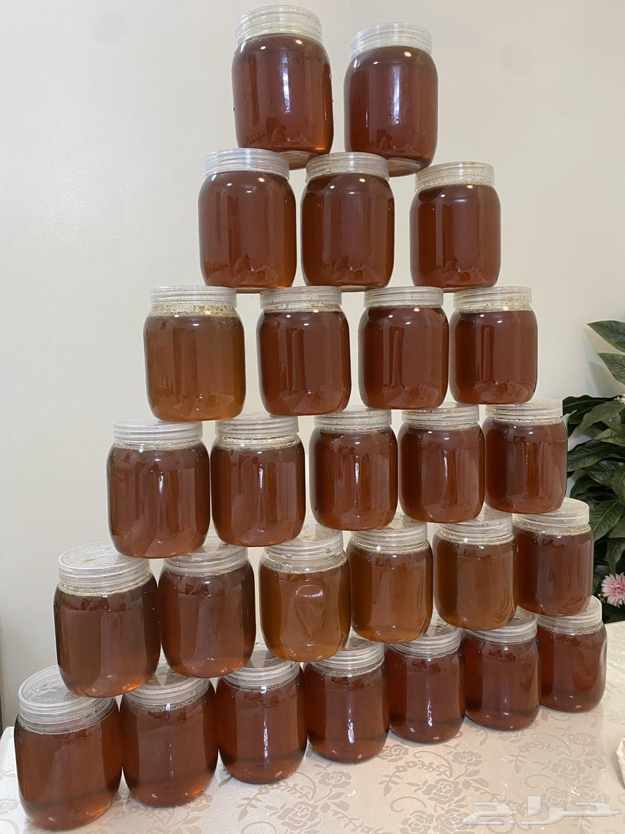 عسل شوكة مضمون وعلى الشرط64432345782658111