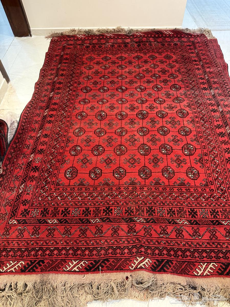 زولية64431937740929111