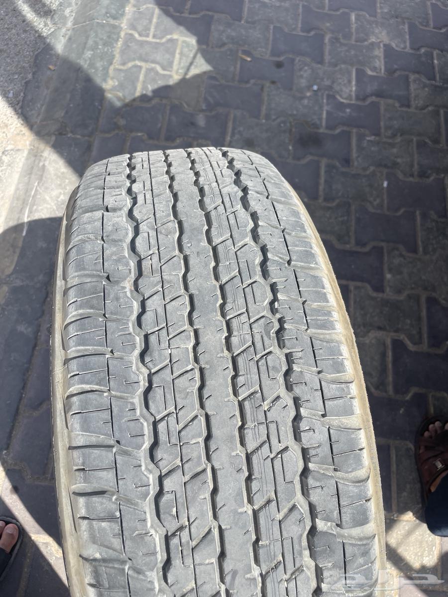 كفر دلوب حبه 1 مقاس 1764587329707010110