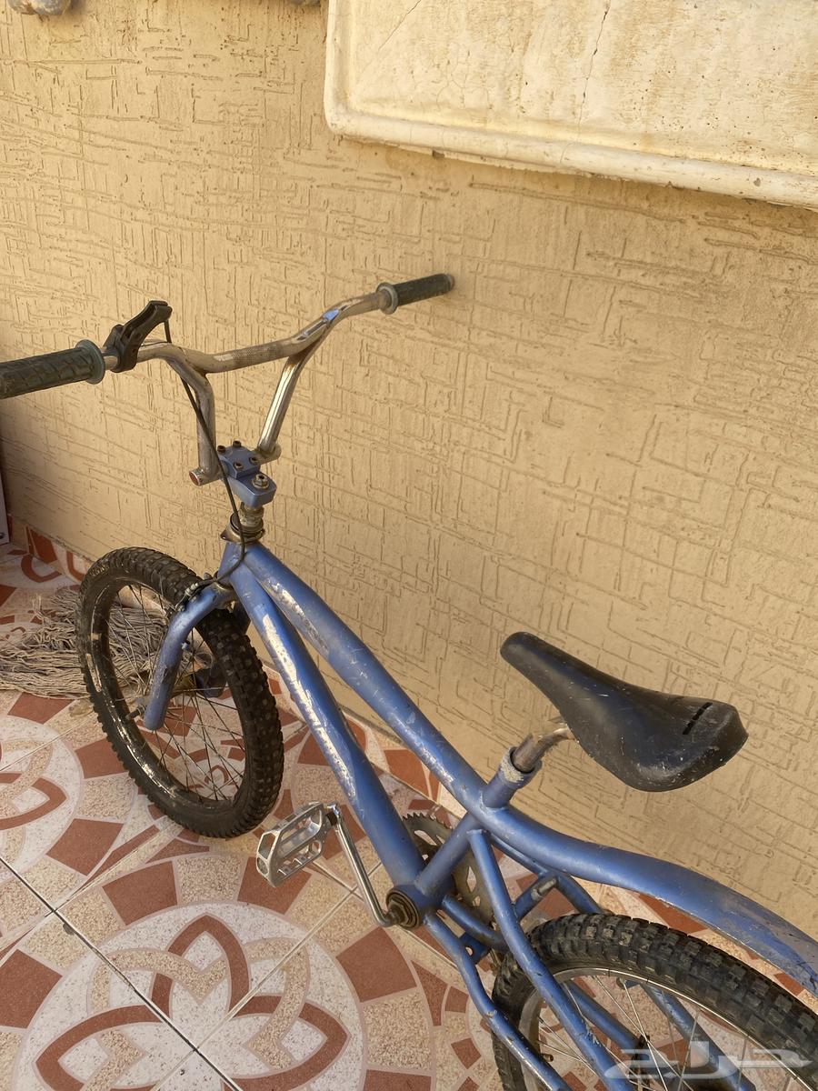 سيكل كوبرا64427865475331111