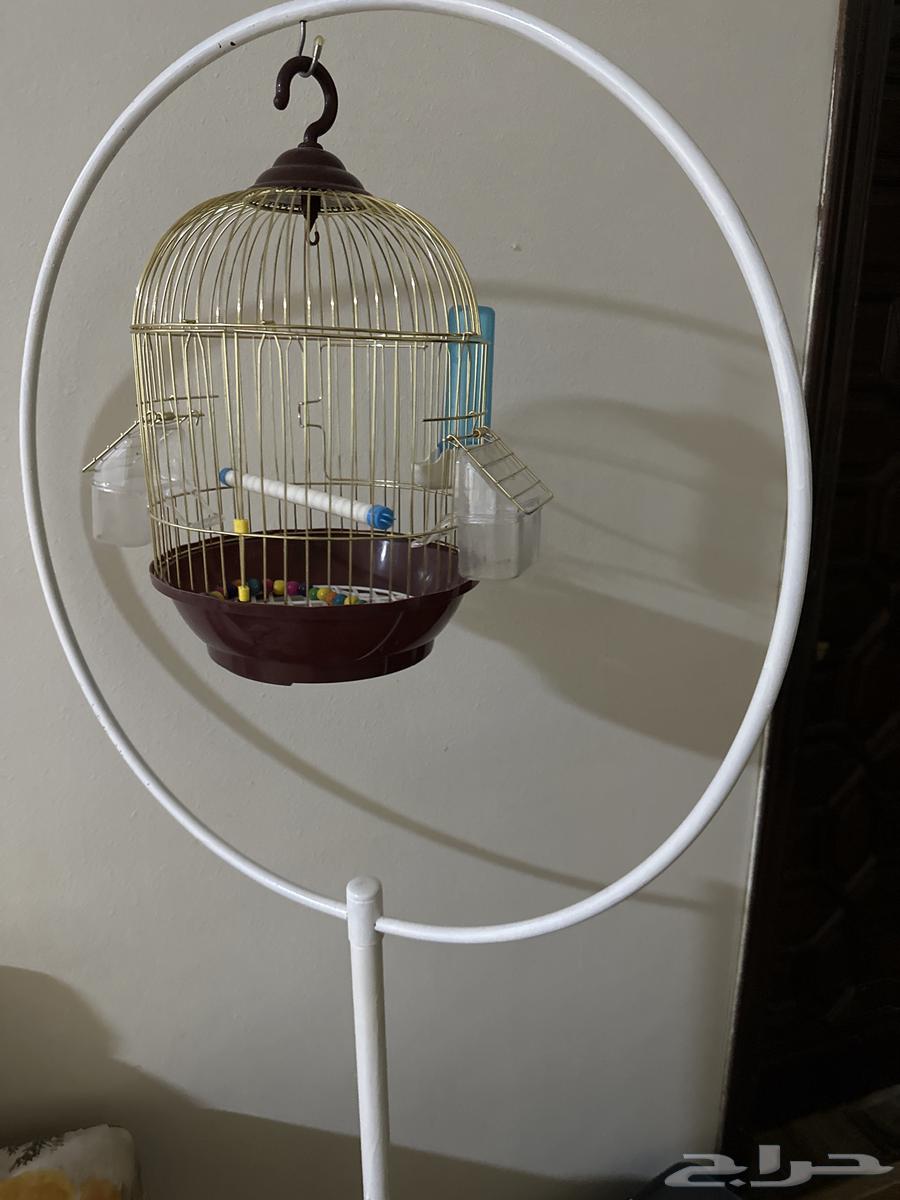 للبيع قفص عصفور مع الاستاند64430245718531110