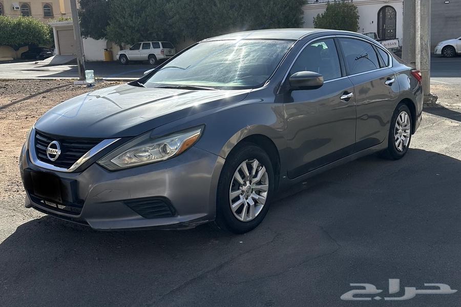 Taima 2017 Standard 2.5S64590789293699110