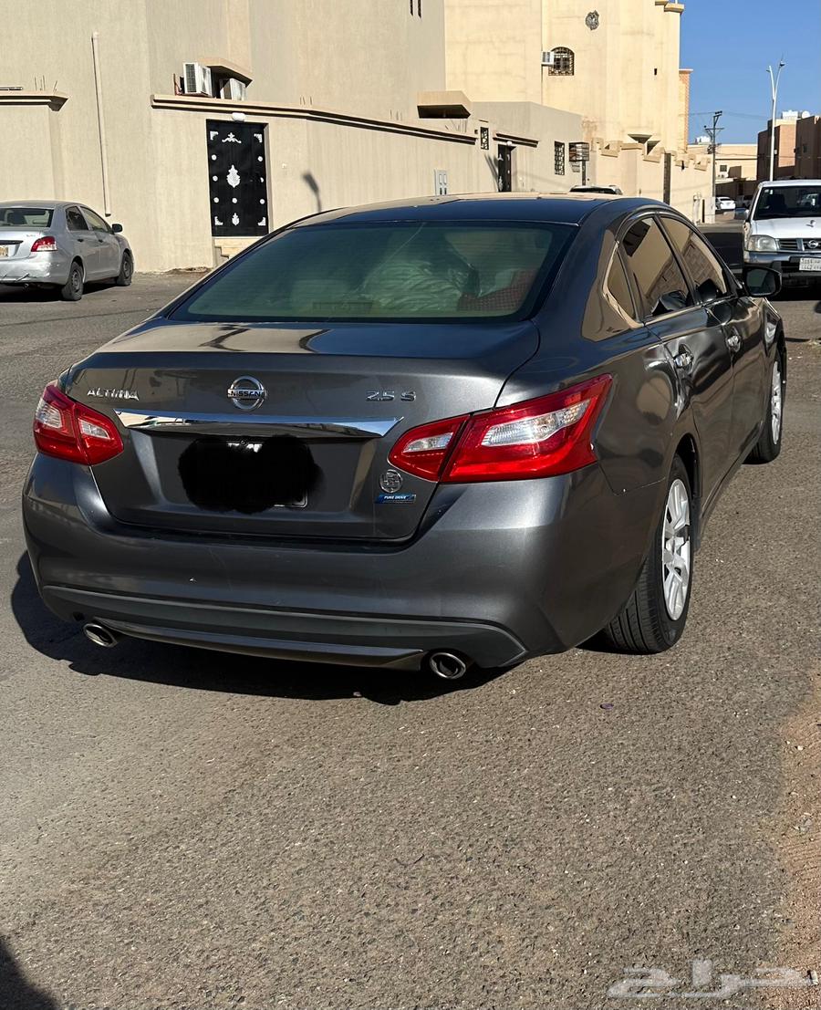 Taima 2017 Standard 2.5S64590789293699112