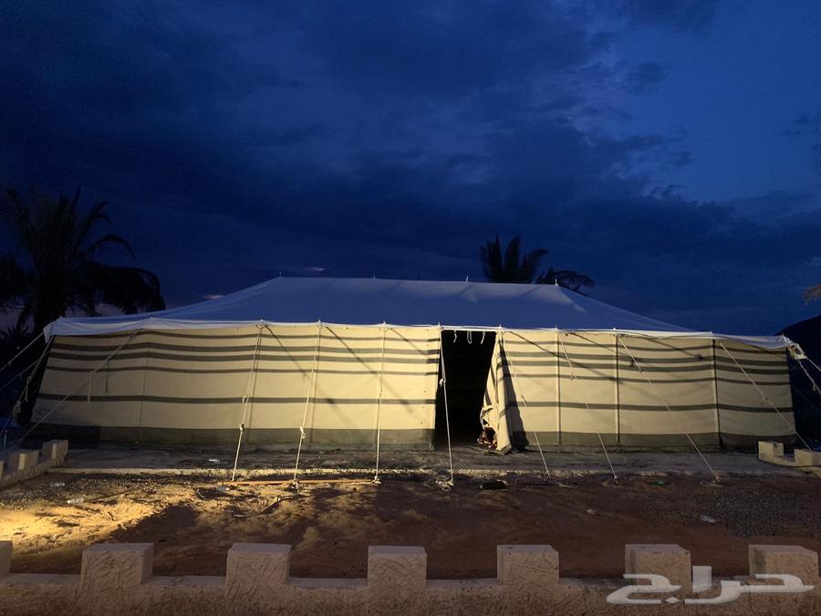 صيوان بيت شعر ابيض (16 في 8)64430097742339114