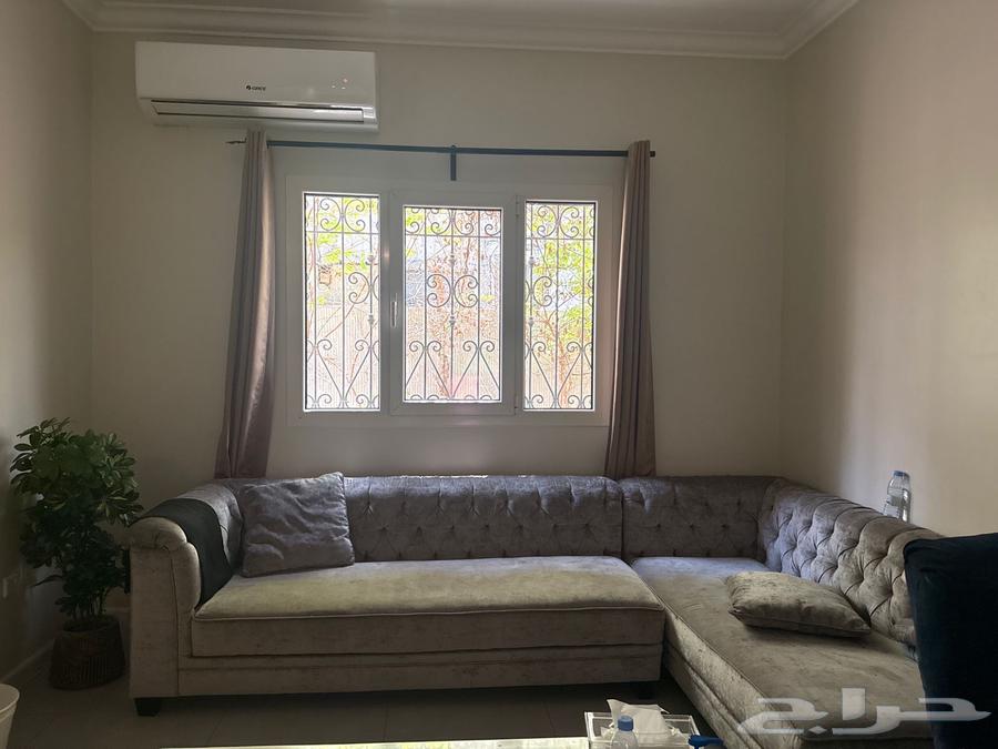 كنب نيو كلاسيك فخم للبيع64430684277250110