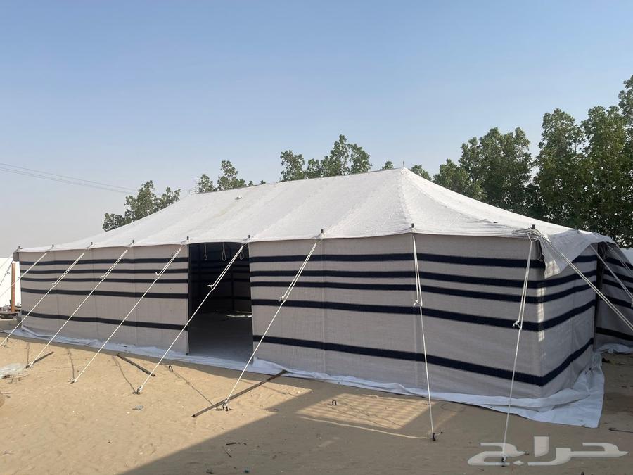 لبيع بيوت الشعر الابيض درجه اولى نسبة الشعر 80 10064589977452673110