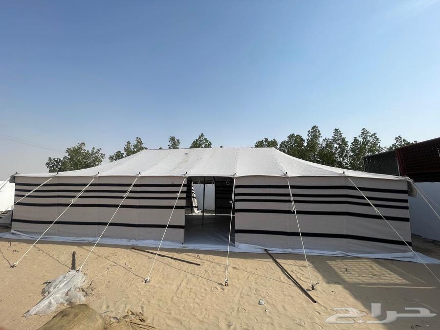 لبيع بيوت الشعر الابيض درجه اولى نسبة الشعر 80 10064589977452673113