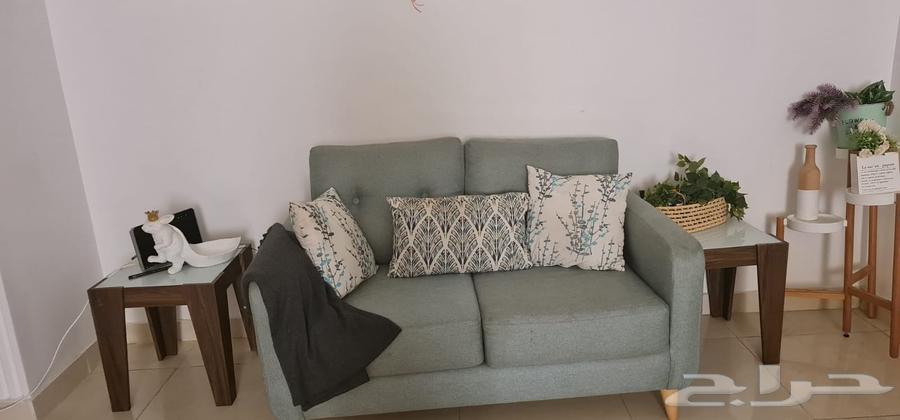 شارع الربيع بن مالك64429909839106111