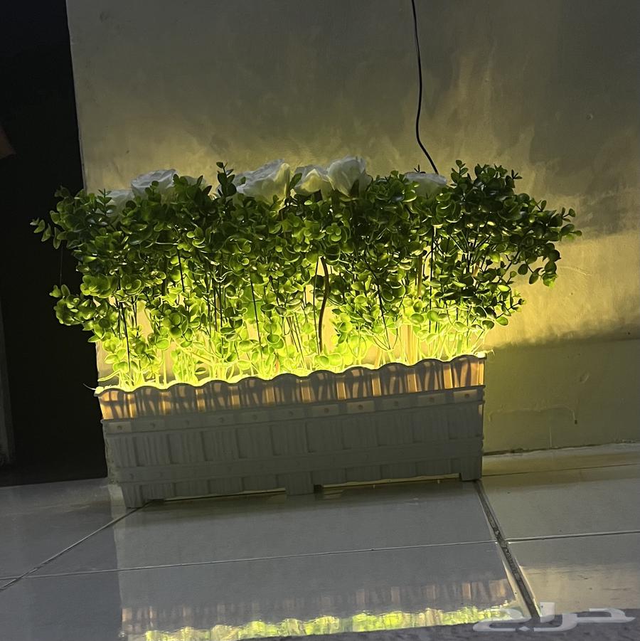 احواض ورد و اشجار صناعيه64426752066819112