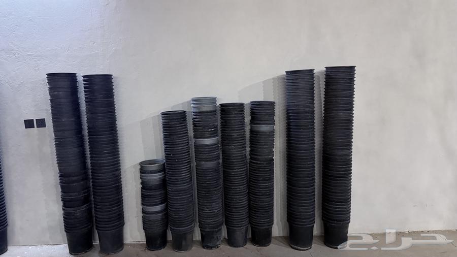 Marrakesh 20 2564431358904962111