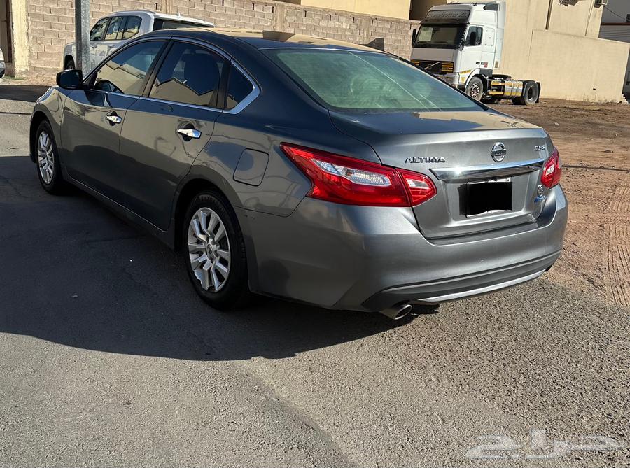 Taima 2017 Standard 2.5S64590789293699113