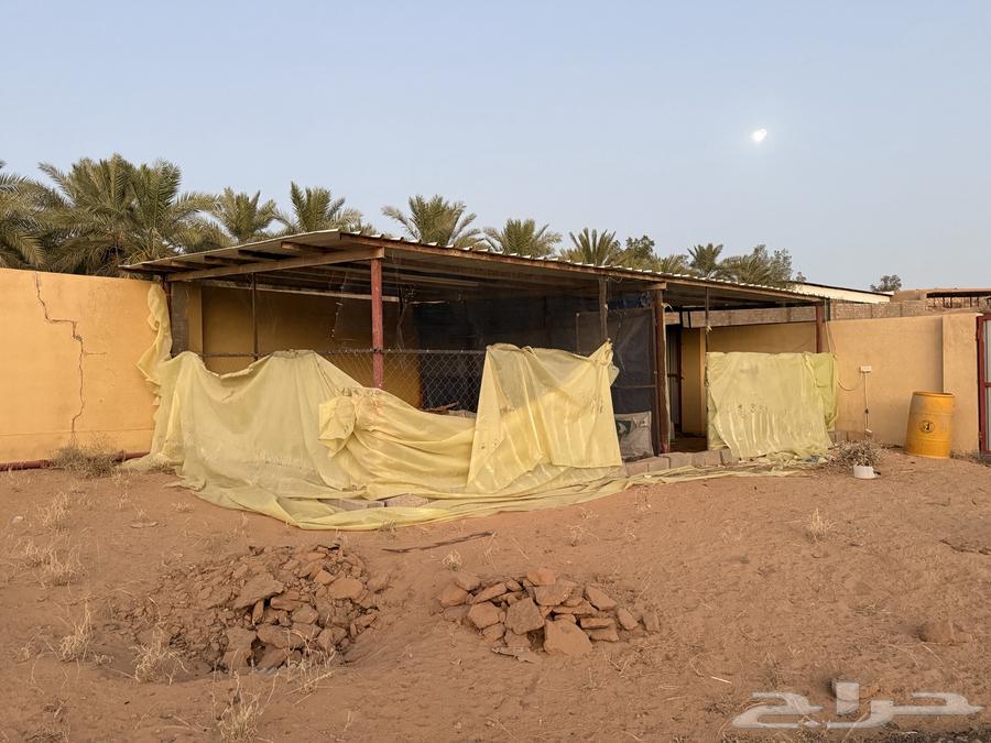 Insulated iron room with mesh64431332120194112