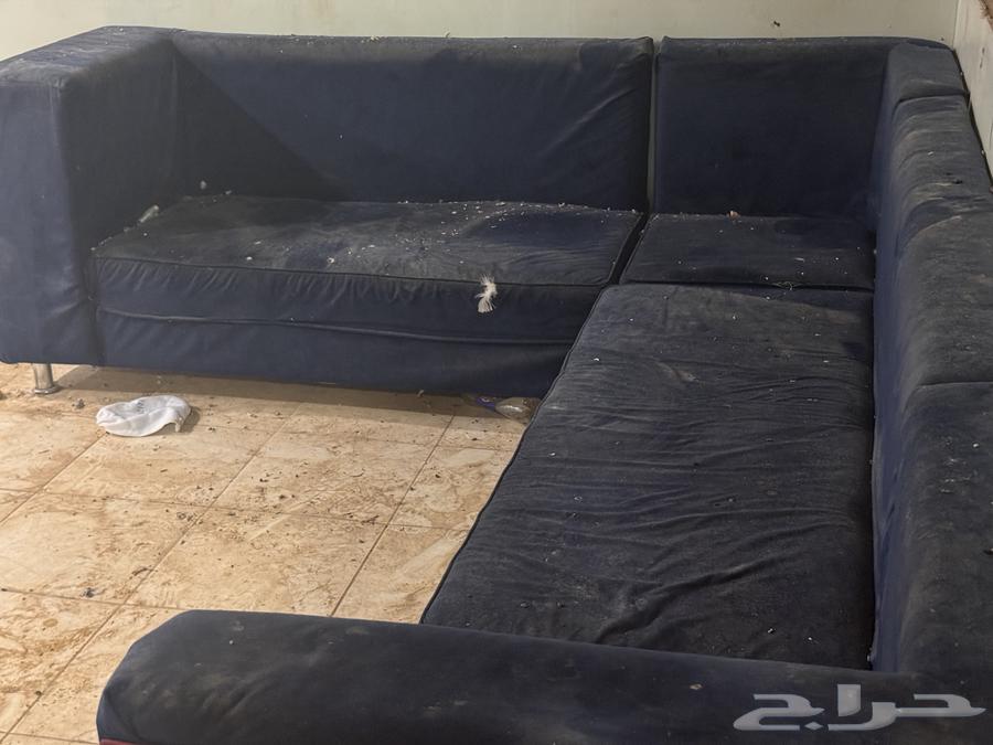 New unused sofa64432196862081112