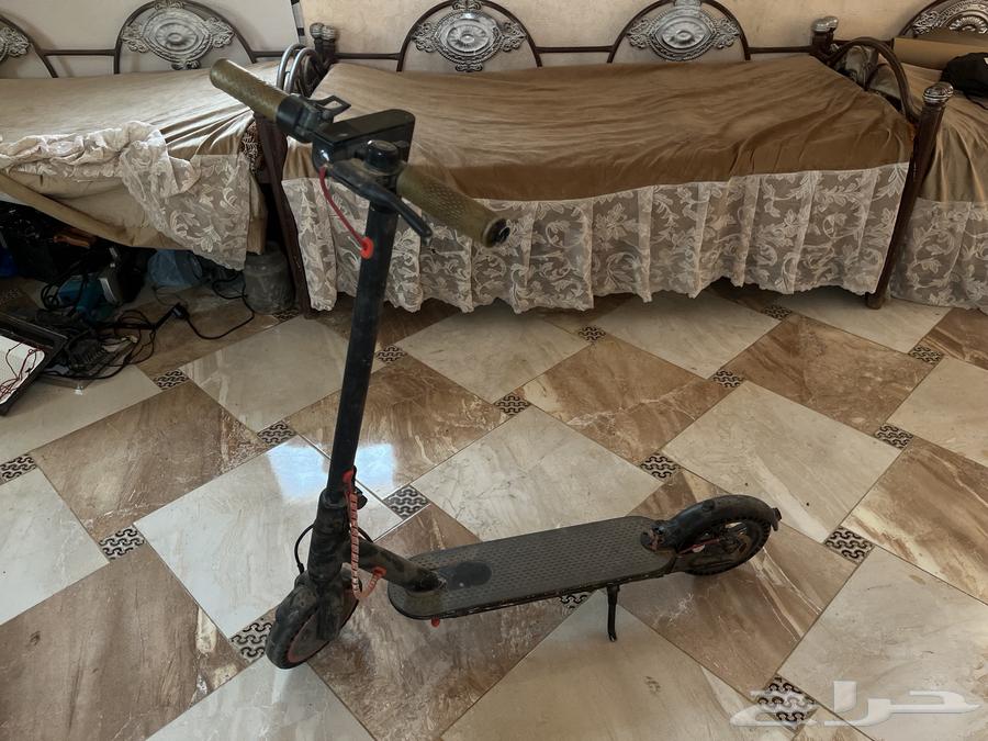 سكوتر كهربائي للبيع64428349532546110
