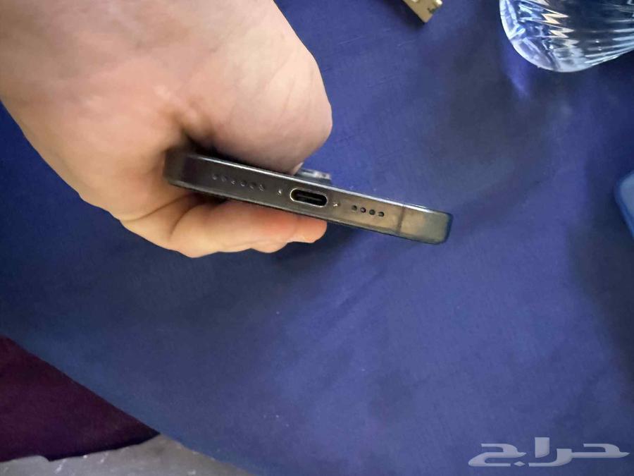 Pro Max 15 256 Space64432863213955114