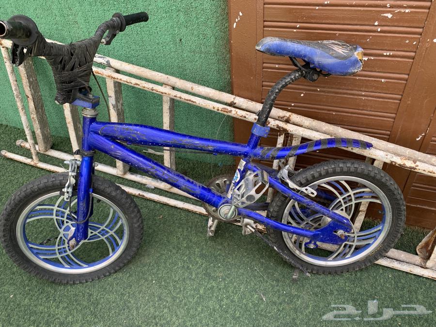 سيكل كوبرا مقاس 16 لون ازرق مستعمل فقط شهرين وعلى السوم64428120365698111