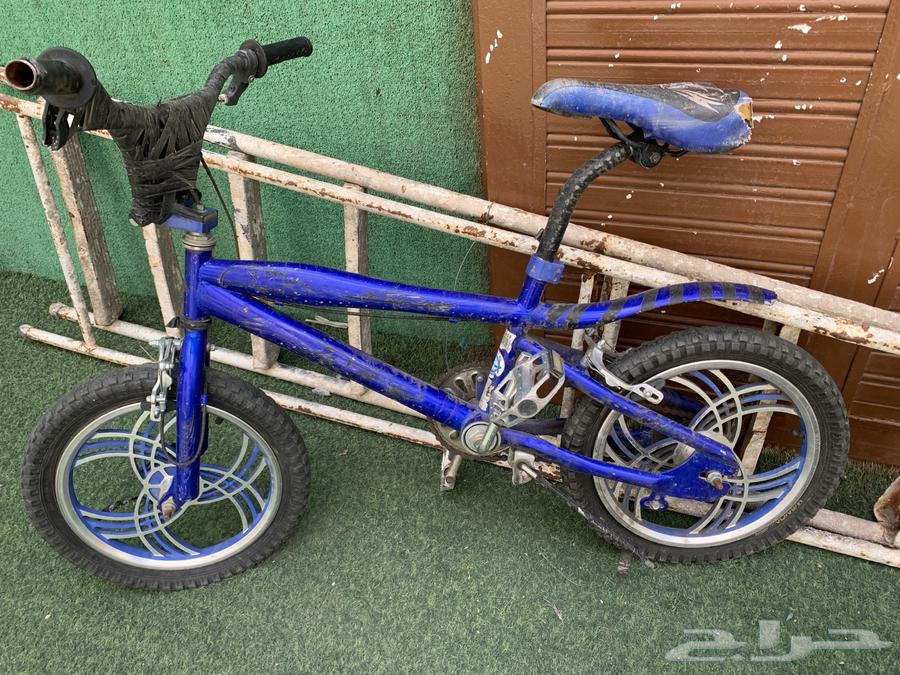 سيكل كوبرا مقاس 16 لون ازرق مستعمل فقط شهرين وعلى السوم64428120365698110