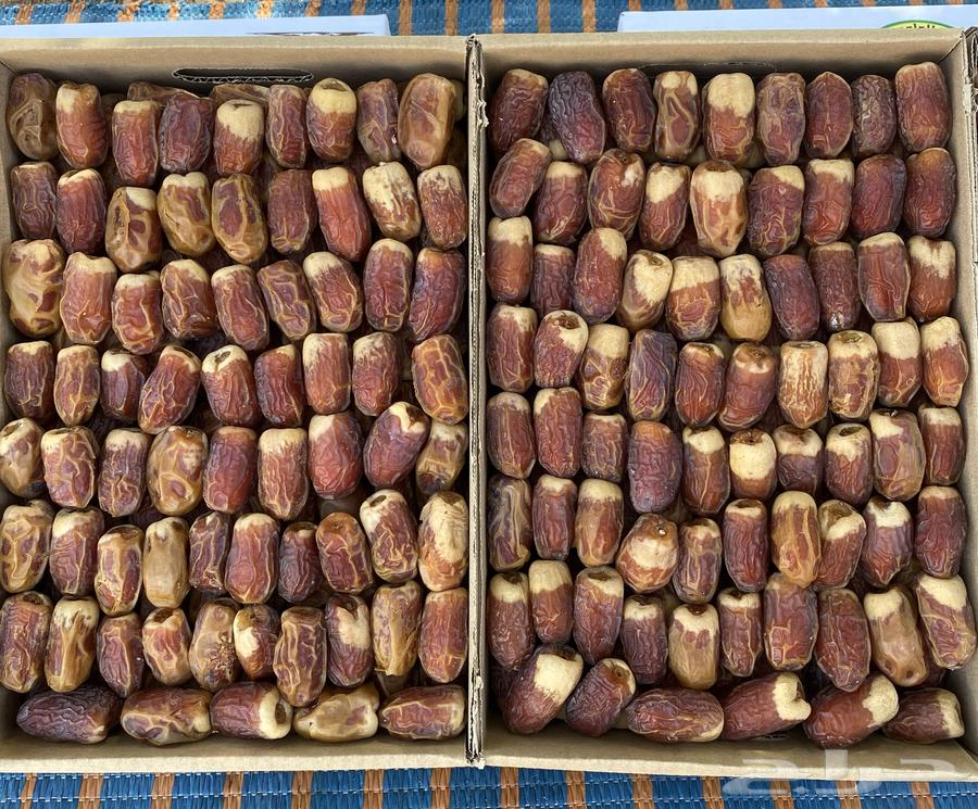 Second-grade Safawi dates64427731148931110