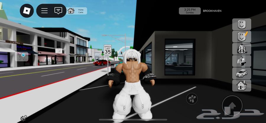 حساب روبلوكس مشحون64432550569345110