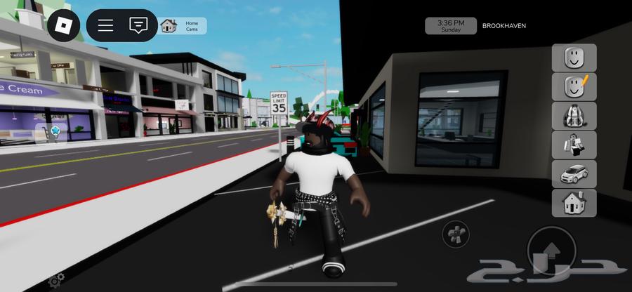 حساب روبلوكس مشحون64432550569345111