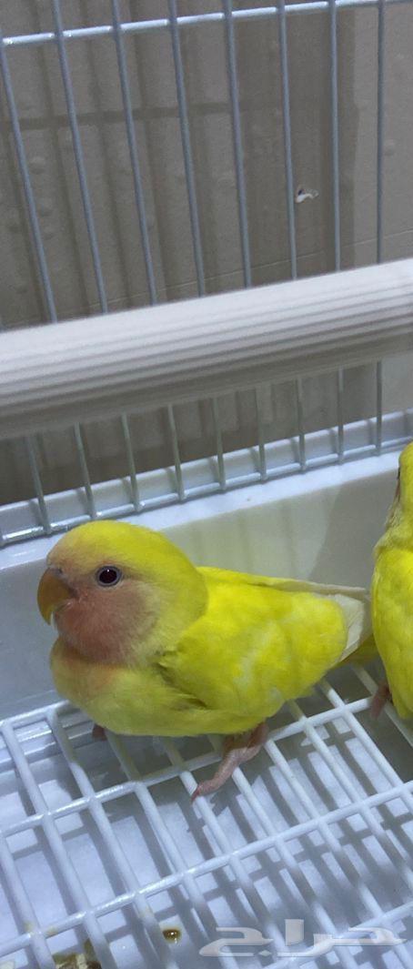 A bird of the day64426685422337110