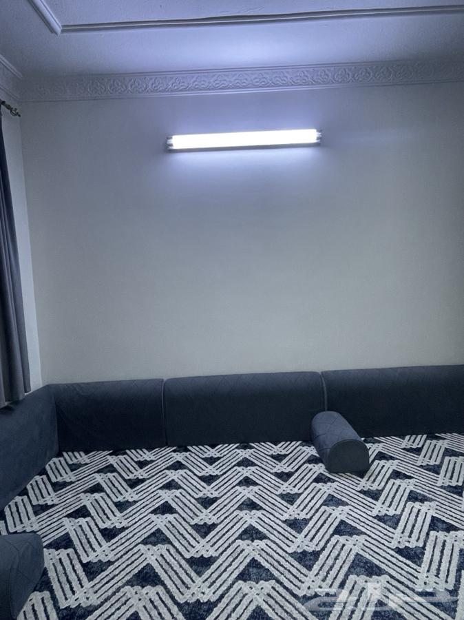 Rug + cushions and backrests + star64427529731713111