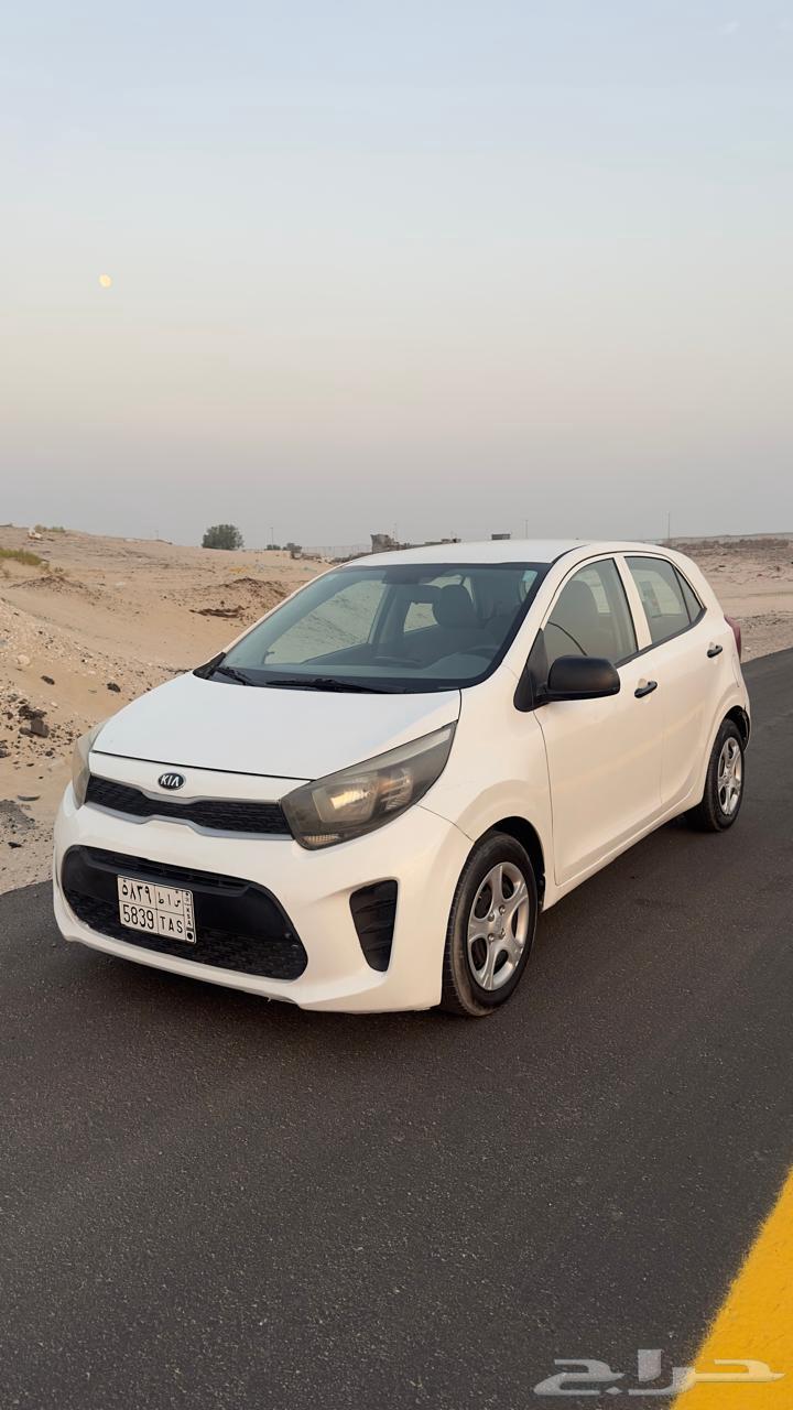 كيا بيكانتو 201964591129462785114