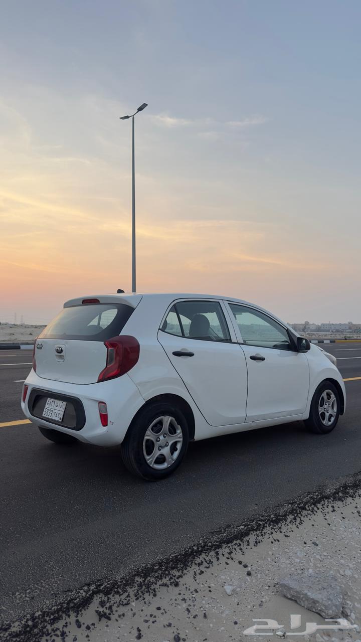 كيا بيكانتو 201964591129462785113