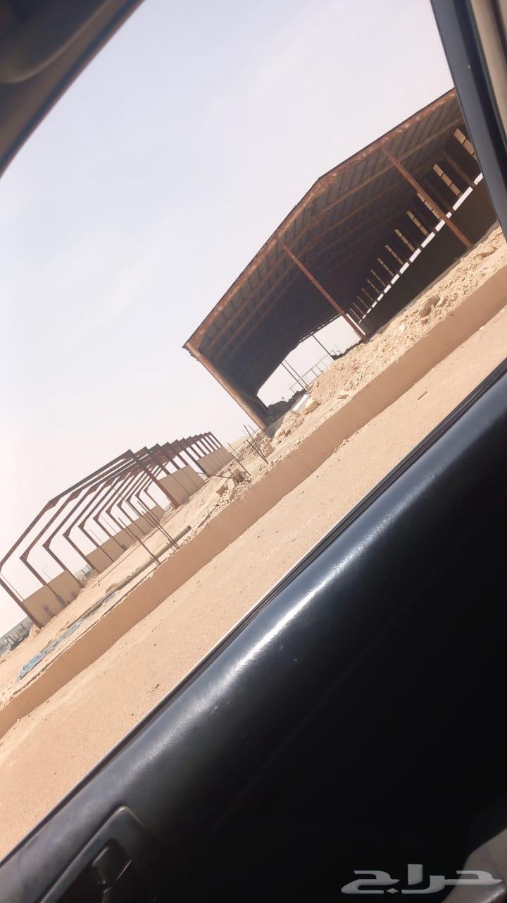 تم البيع64426591193218110