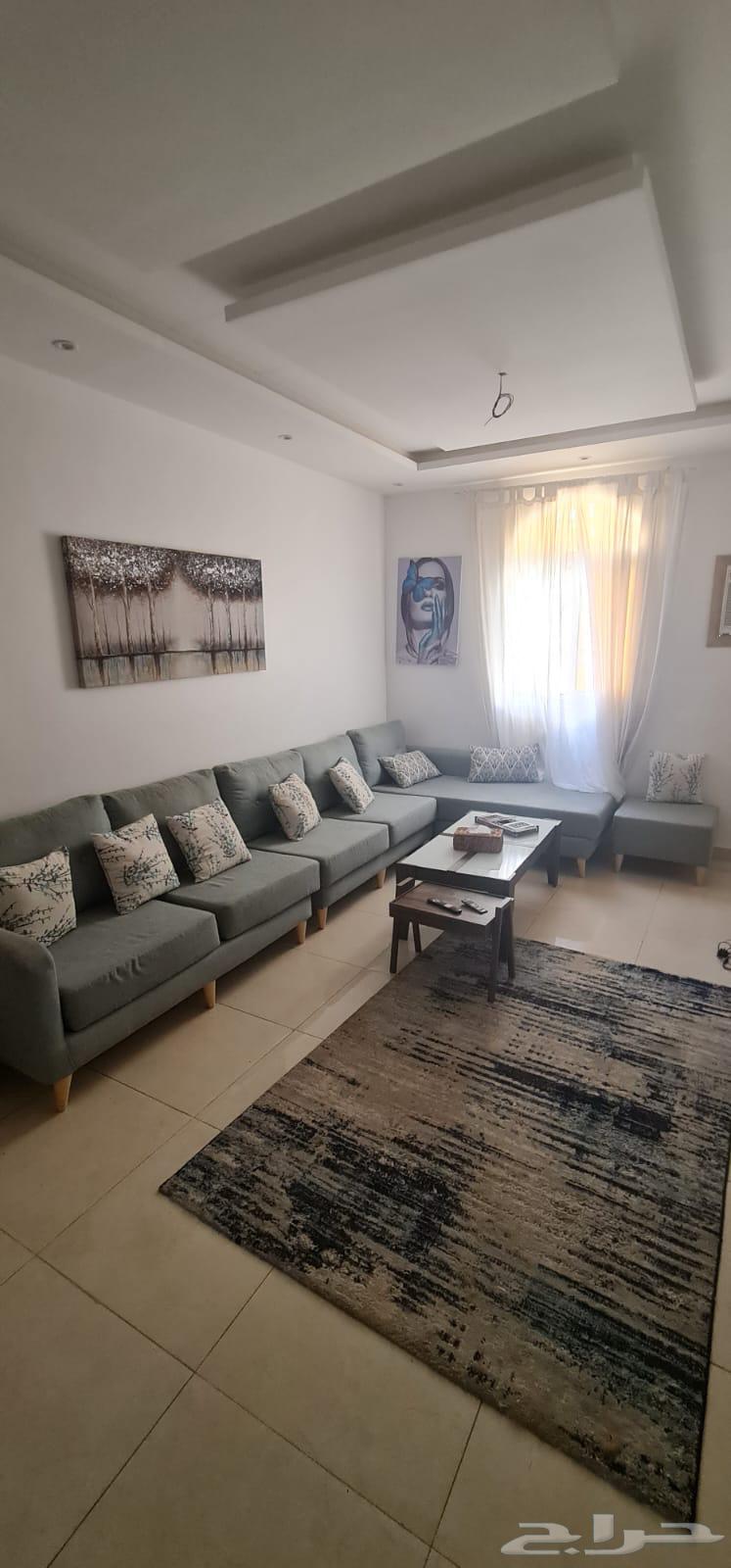 شارع الربيع بن مالك64429909839106110