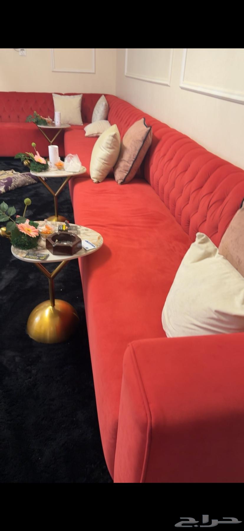 كنب جديد استخدام فترة قصيرة64426389419011112