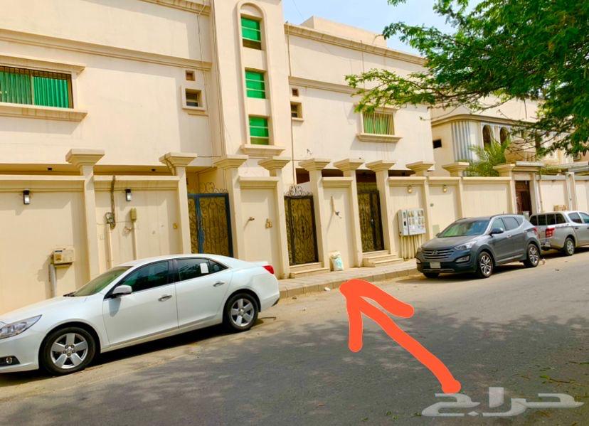 شقة للإيجار