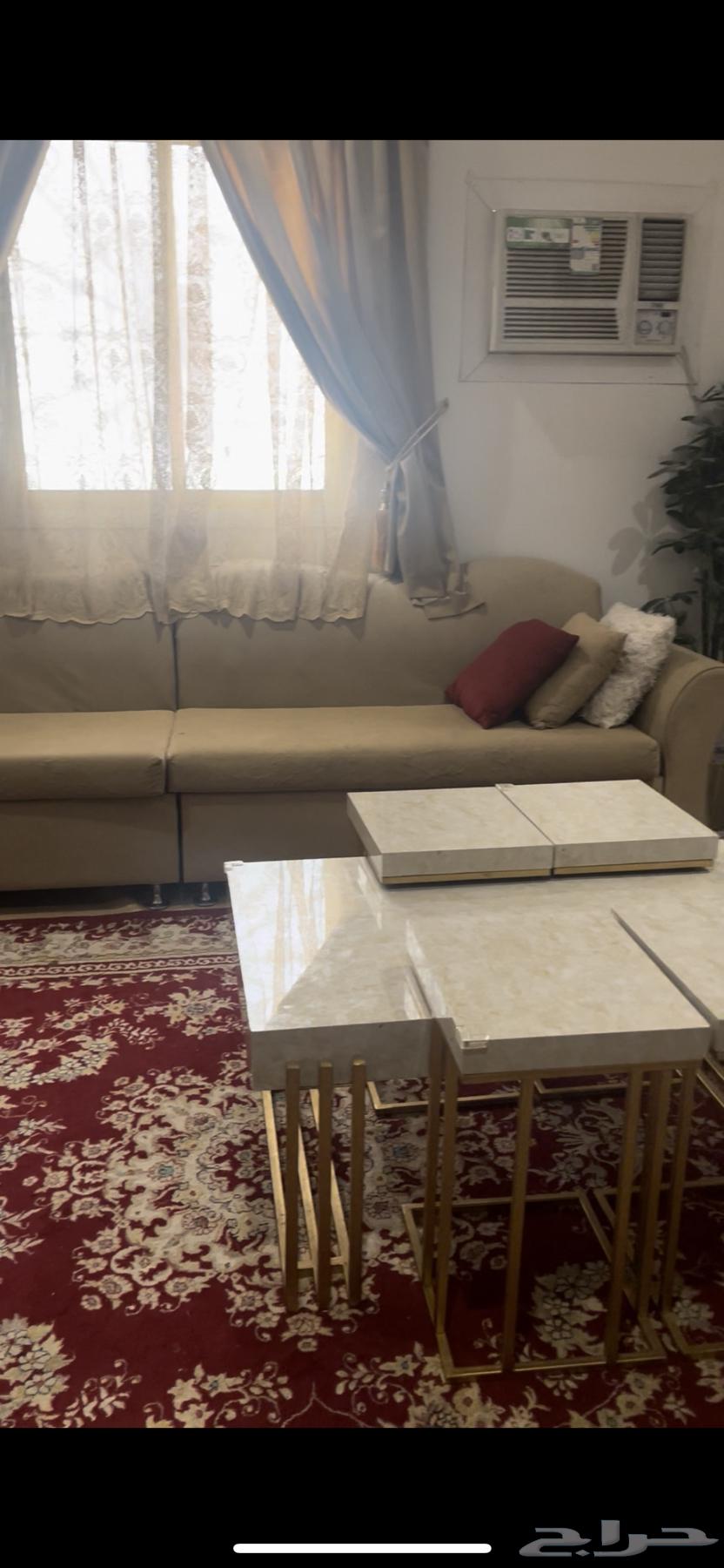 Sofa, carpet, and bedding with a decorative tree for 2500 SAR negotiable64427357218307111