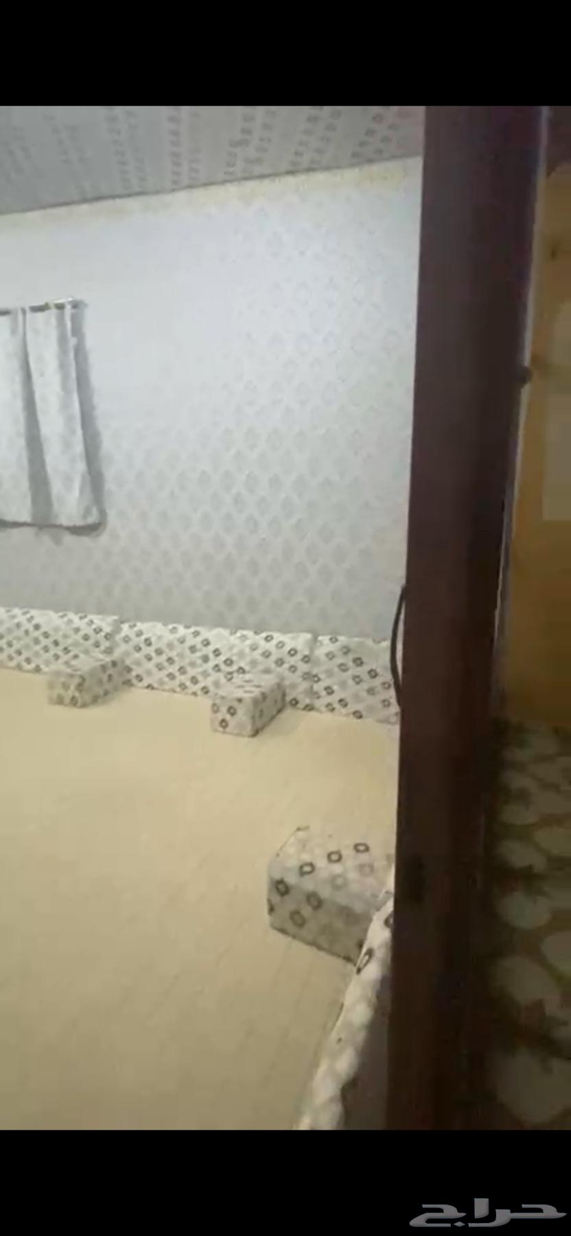 Council and cushion64427290896513110