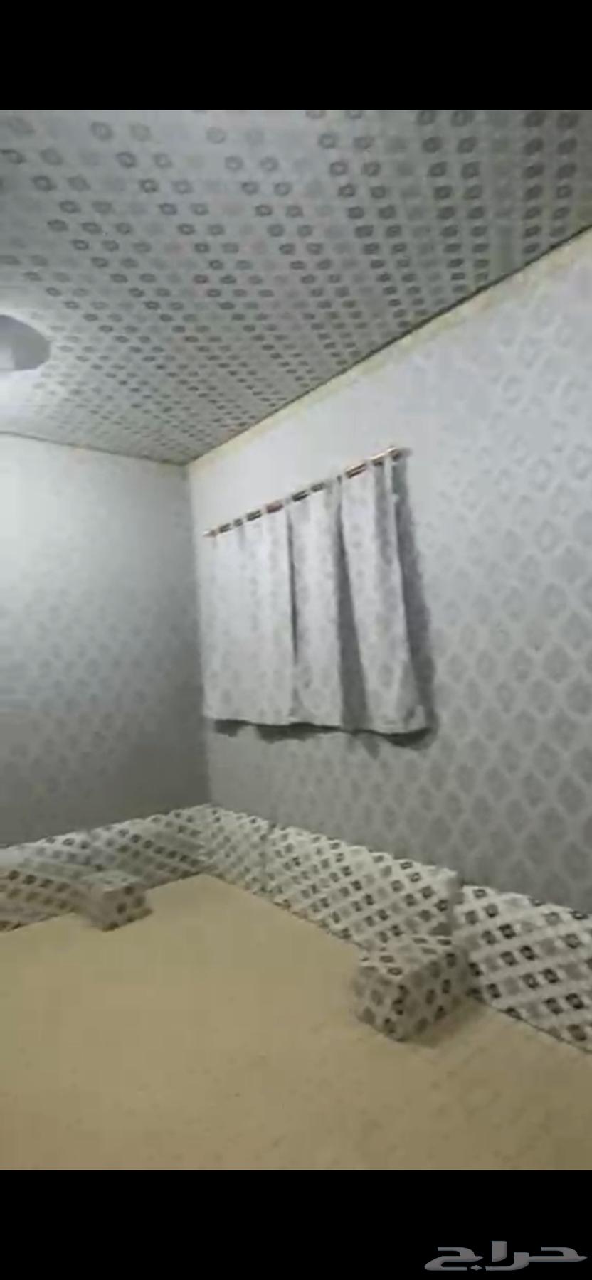 Council and cushion64427290896513112