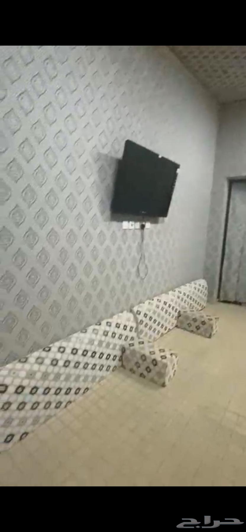 Council and cushion64427290896513111